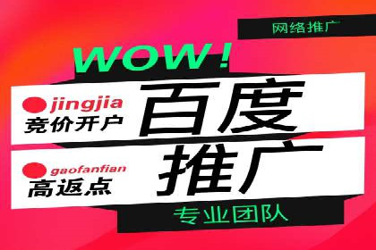 百度竞价推广托管服务，打造高效的网络营销团队